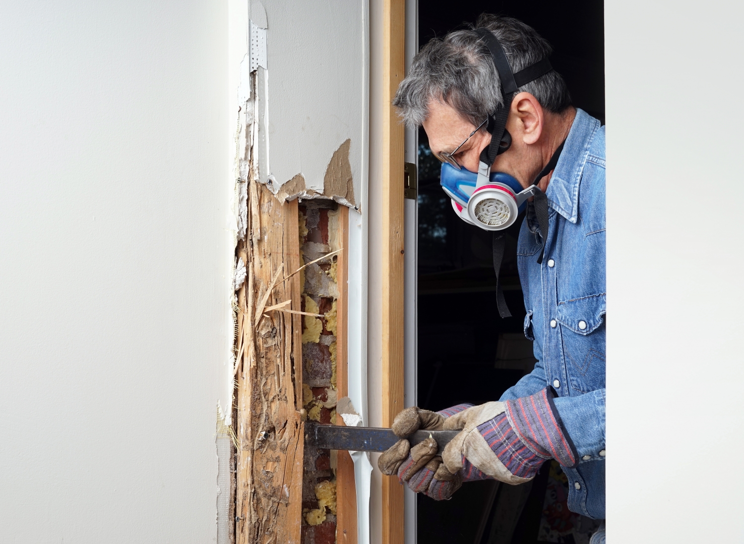 Termite-Inspections-Services-1500x1098.j