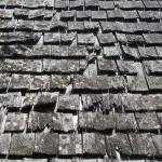 signs of roof damage