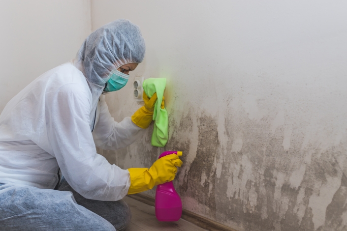 Prevent Mould Growth in your home