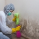 Prevent Mould Growth in your home